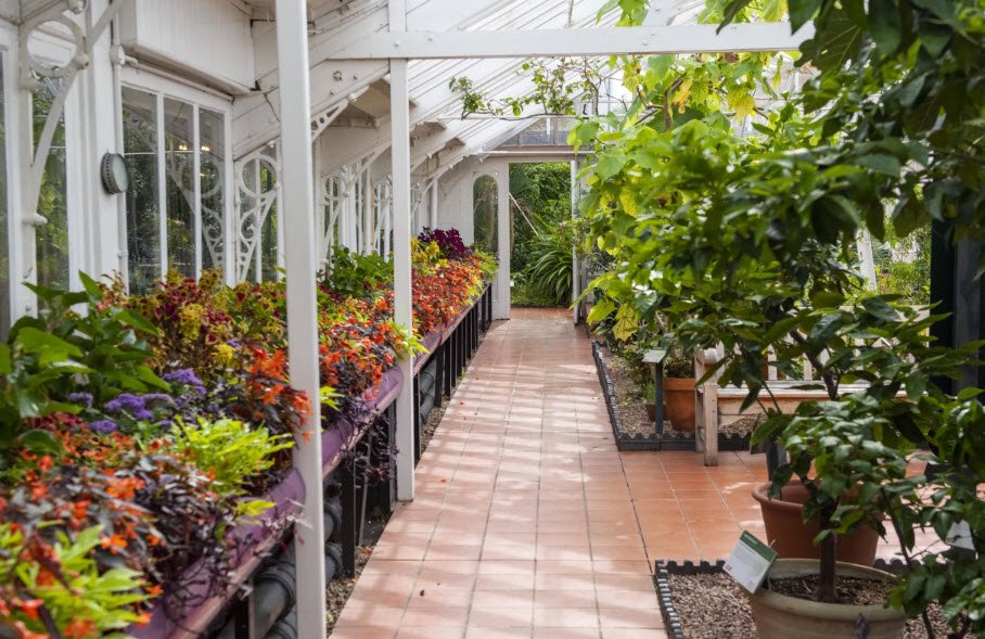 The Birmingham Botanical Gardens, United Kingdom